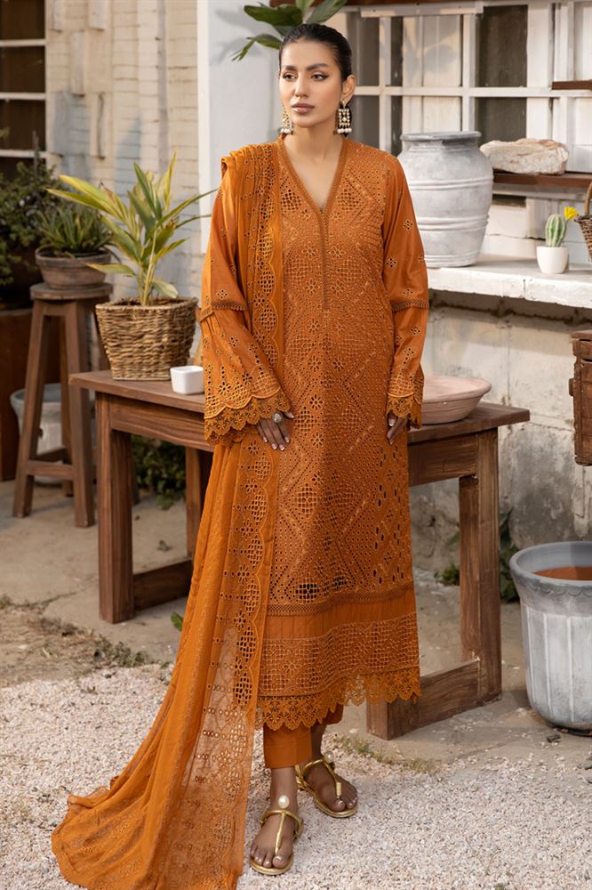 Aniyah 4Pc Unstitched Collection - Versatile Ensemble for Every Occasion