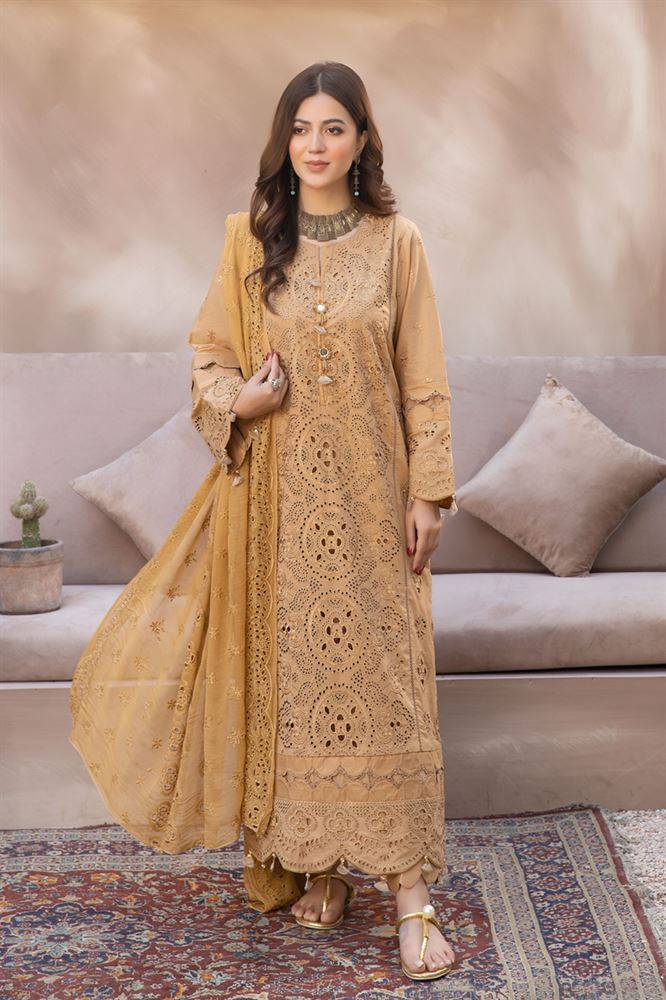 Aniyah 4Pc Unstitched Collection - Classic Heritage Reinvented