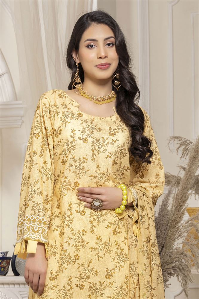 Noor E Saba 3pc Unstitched Collection - Timeless Elegance in Every Thread