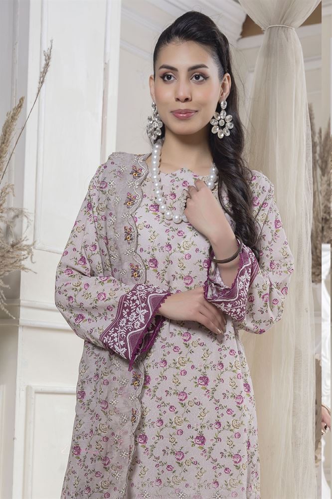 Noor E Saba 3pc Ethnic Wear Set - Versatile Style for Every Celebration