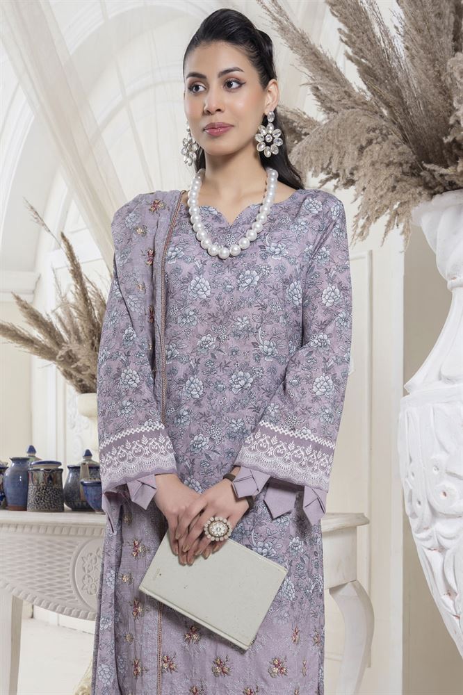 Noor E Saba 3pc Ethnic Wear Set - Versatile Style for Every Celebration